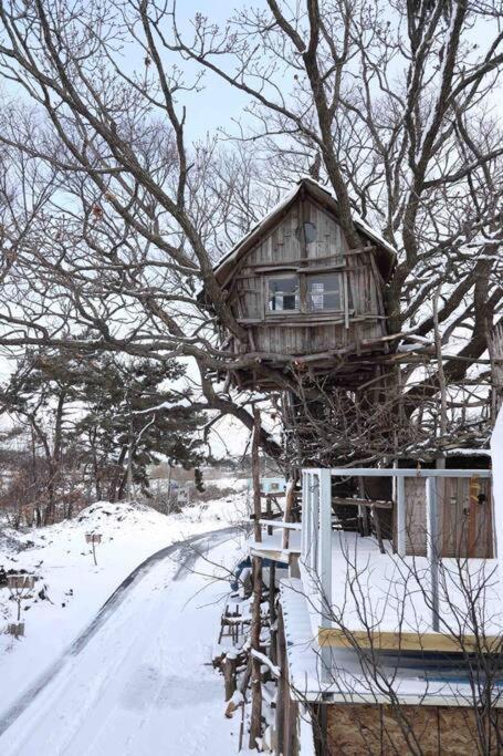 הוילה Gimje Mizuno San'S Tree House מראה חיצוני תמונה